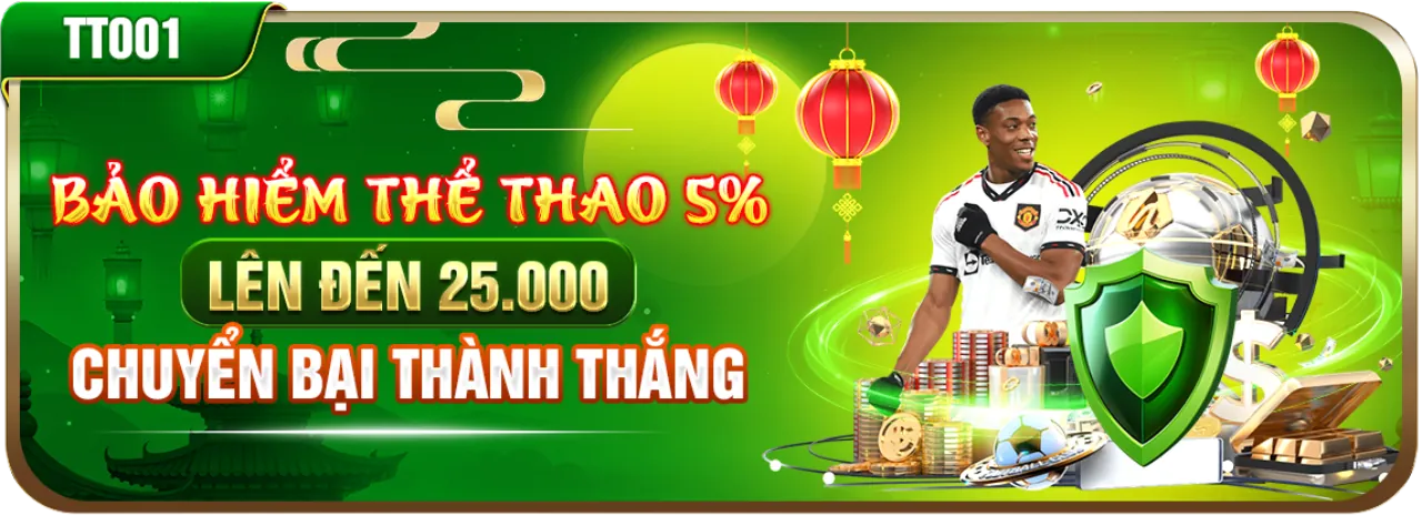 Hình ảnh chuyên nghiệp thể hiện điều khoản dịch vụ của newba5 casino